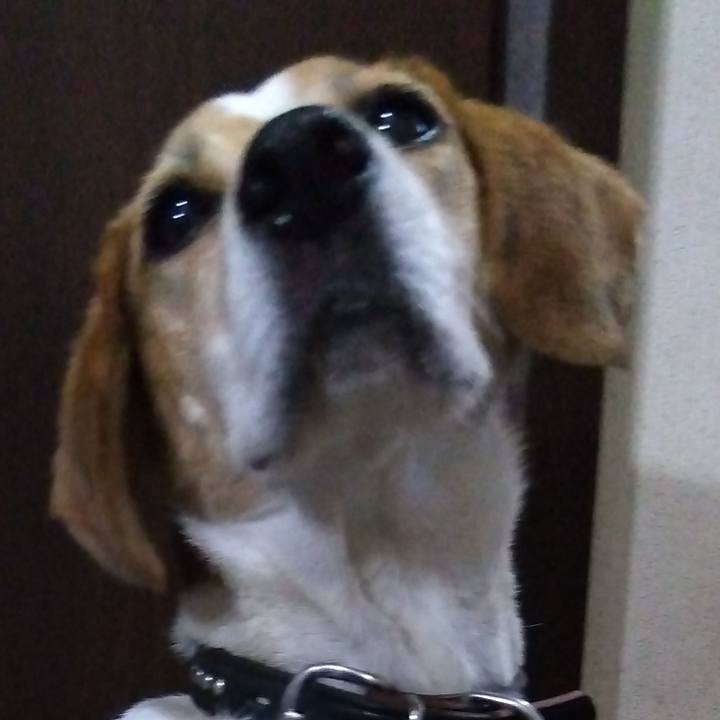 De5248e4 135b 415b 8cda 23cf8310c913 1694150347214