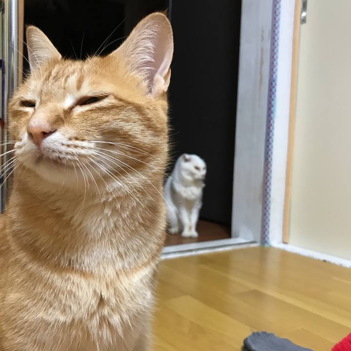 De527a23 be51 4fb5 a626 939cb4c8bba7 1527700220064