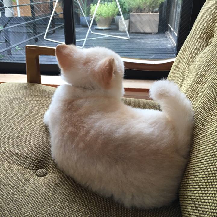 De528a79 90c7 4ed1 a248 c3b76be93a2c 1598857637825