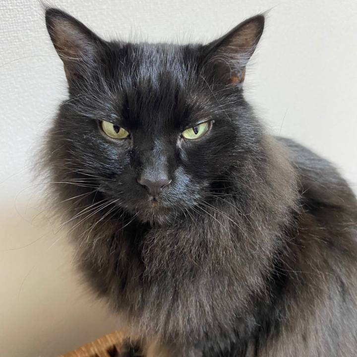 De528d26 d4a6 4d2f 80a0 d2fd9e25b56c 1577981532048