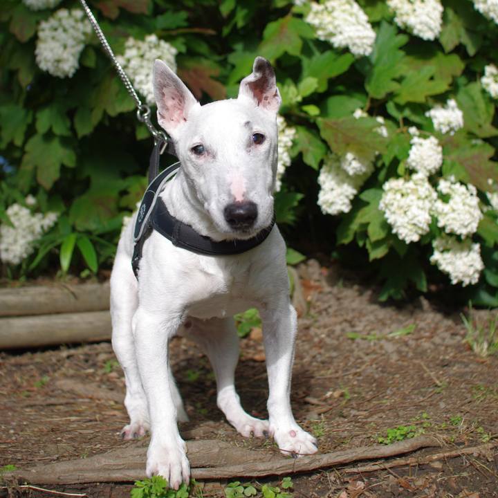 De52a3d8 2871 48f4 ab12 42ee4ed04297 1560860279895