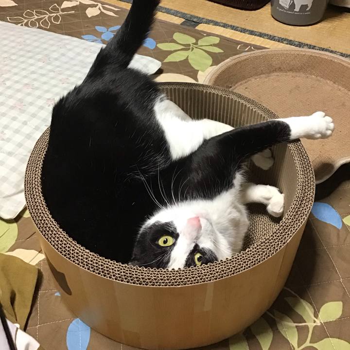 De52ae60 6aba 4d44 8147 a598c32bdbc6 1733642701262