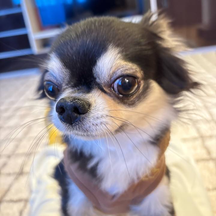 De52b2d1 0754 462e a787 bec42d3373f6 1739117035648