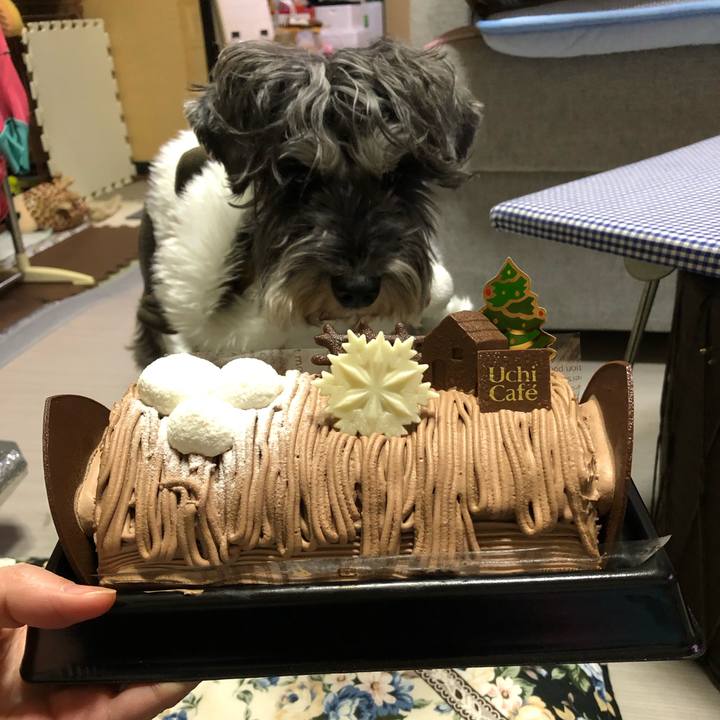 De52ce34 3e67 4e58 9585 12416ea20ace 1608900420971