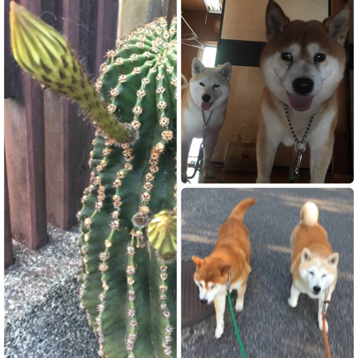 De52ce8d e7ee 4080 836d 61d776bb8383 1533508724815