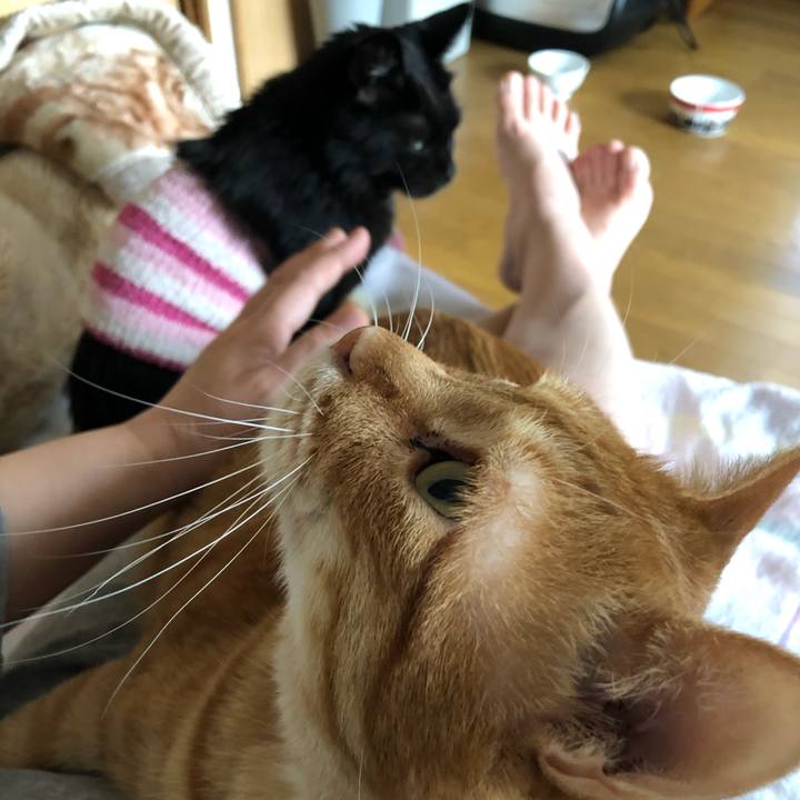 De52fd73 0cc2 4b8c b110 7e8e231e3708 1587593359032