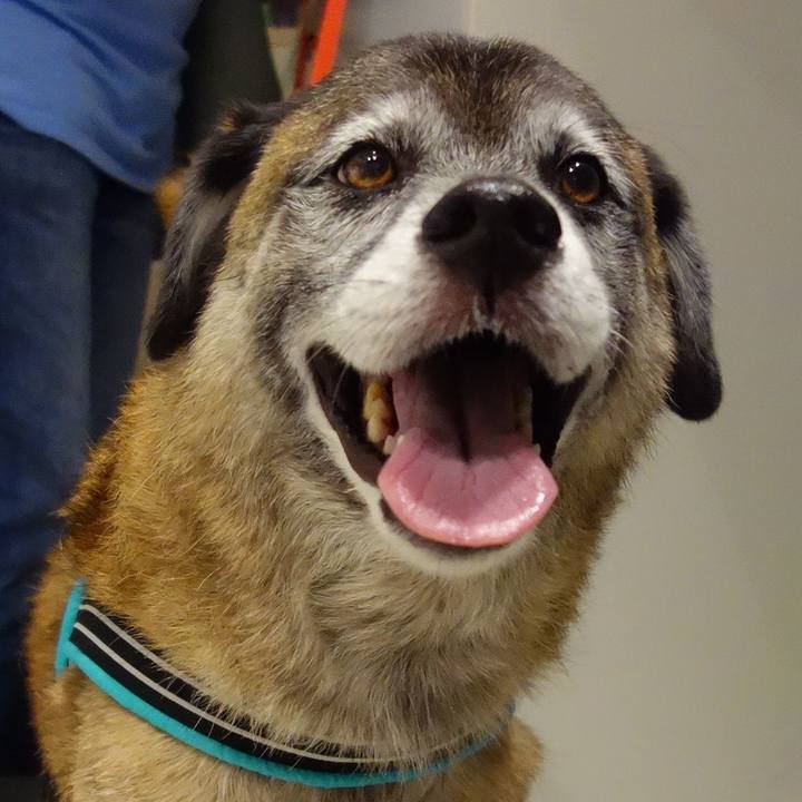 De533eae 8c60 40d9 aa5a 1f8e359a53e1 1537678753860