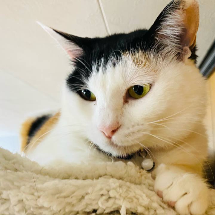 De536a14 9998 4380 8c21 aff0aa1f44c0 1683670110744