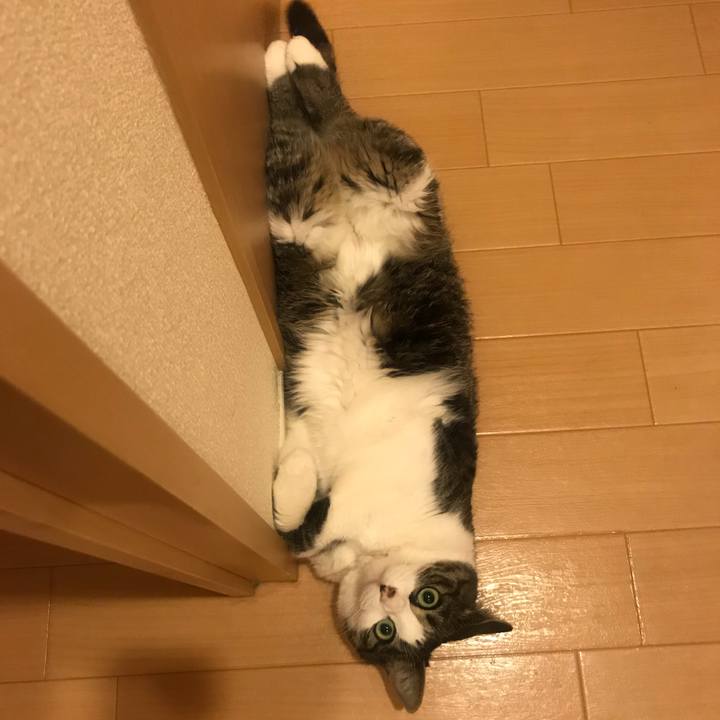 De538303 8796 44a9 be87 c10561dc76d2 1558958883439