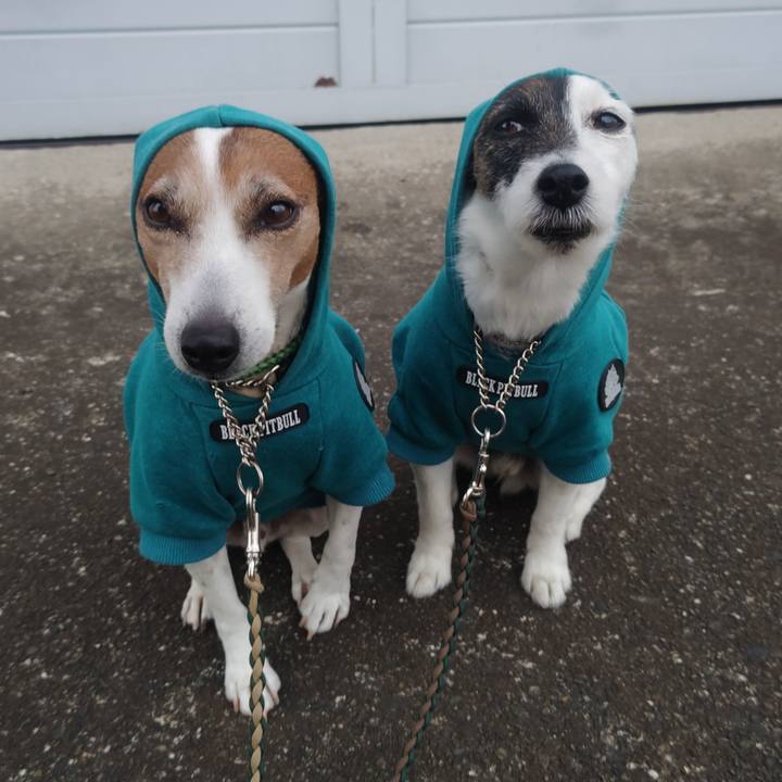 De539a6b 8b84 4870 ba4d 7b9843752f13 1773353054599