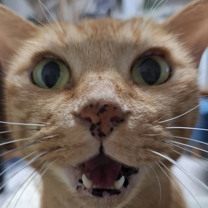 De53af06 c3ea 4ca8 acc2 62ce7a950beb 1732363583386