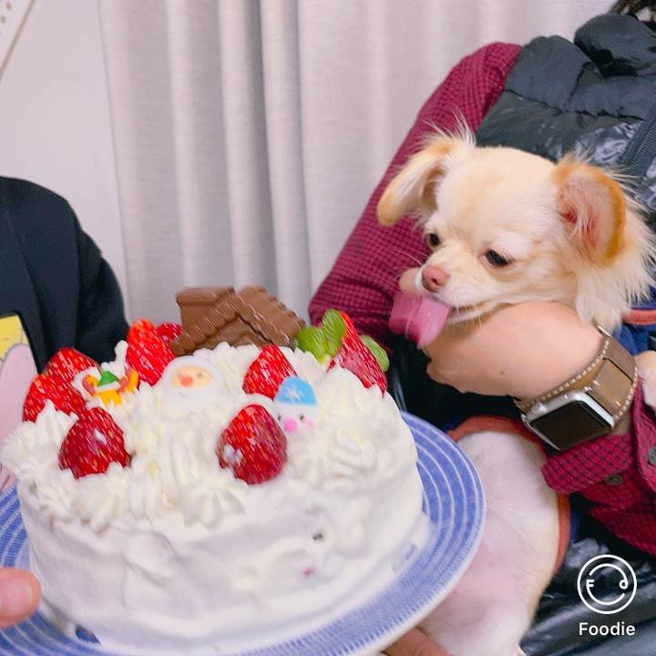 De53c623 9732 4dc0 8a2b 64eb9e4e8a55 1609058420775