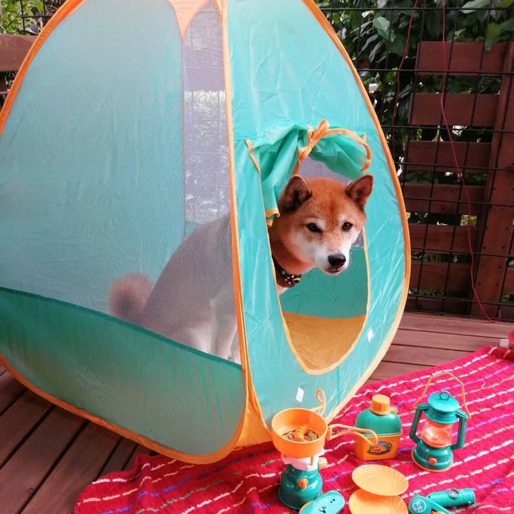 De53d8dd c8d8 429d b4d7 c399f813f4ac 1627544999799