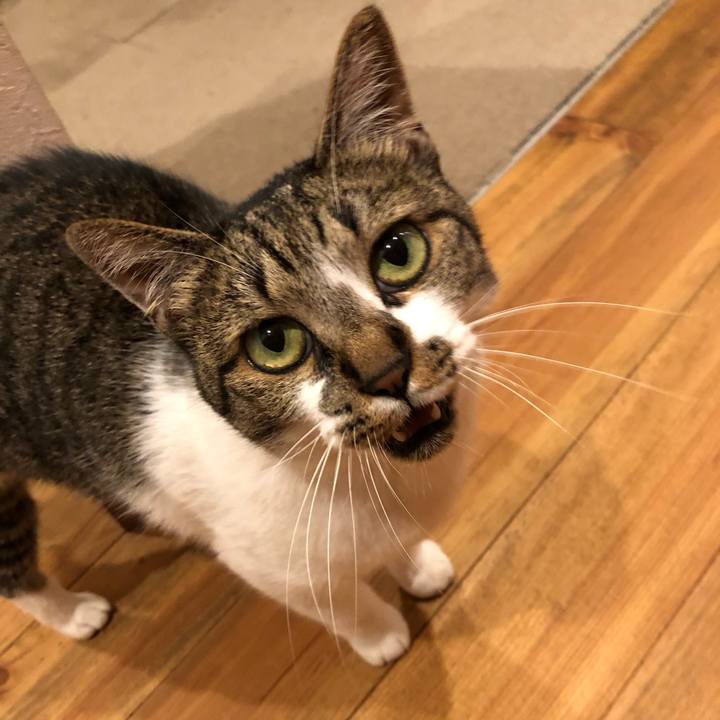 De53d908 3579 45de 8a73 2ea877825649 1594035107562