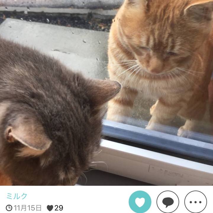 De541e9e c9e0 418b 8b66 838cd1fa4f53 1511691207015