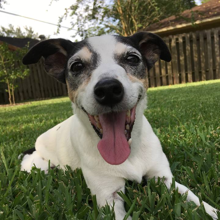 De54d0d4 68b4 418d af84 9a239f7b3622 1645224948726