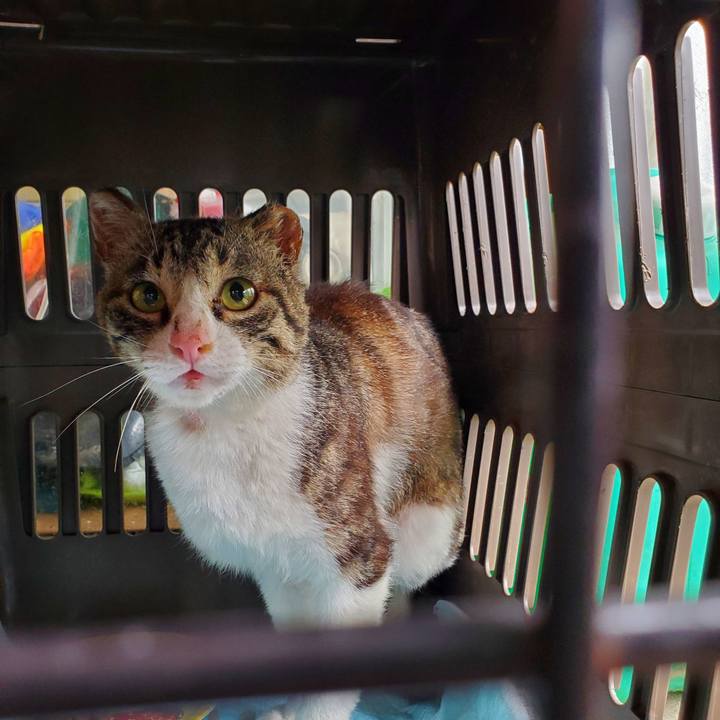 De54d383 ab18 4ce7 9500 7067b30ba819 1719933003412