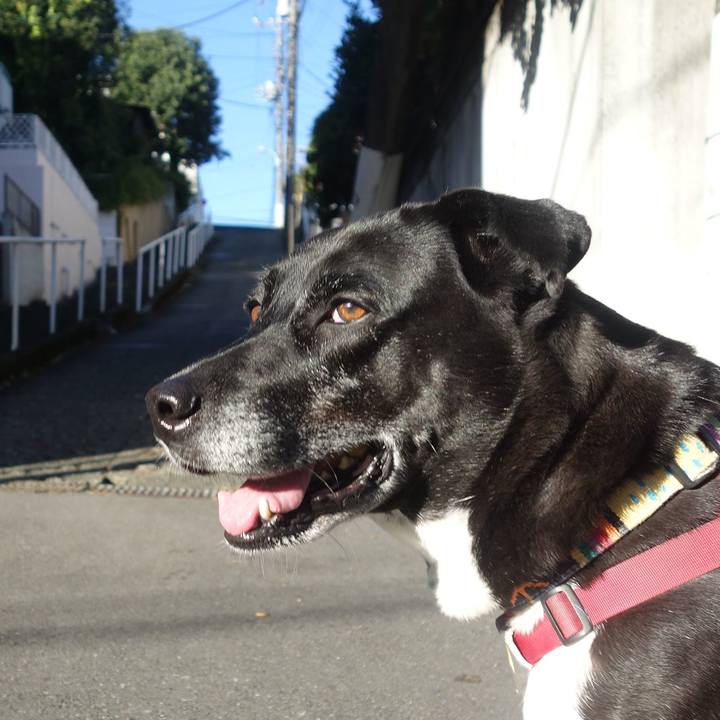 De54d818 d121 4c29 9a84 a6e9376a46af 1699923966279