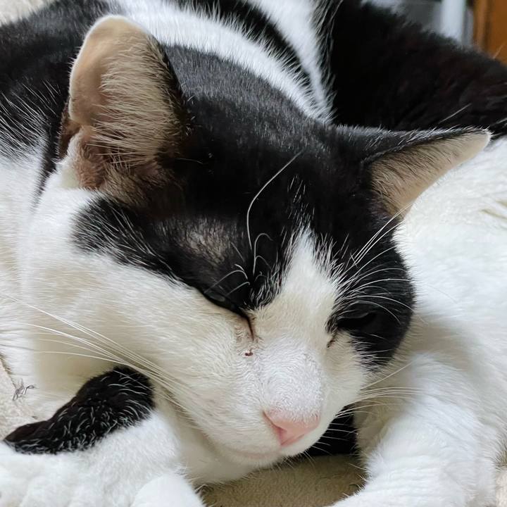 De5517ca c6e5 4fdc b2d0 ce1505e56c3b 1644632656873