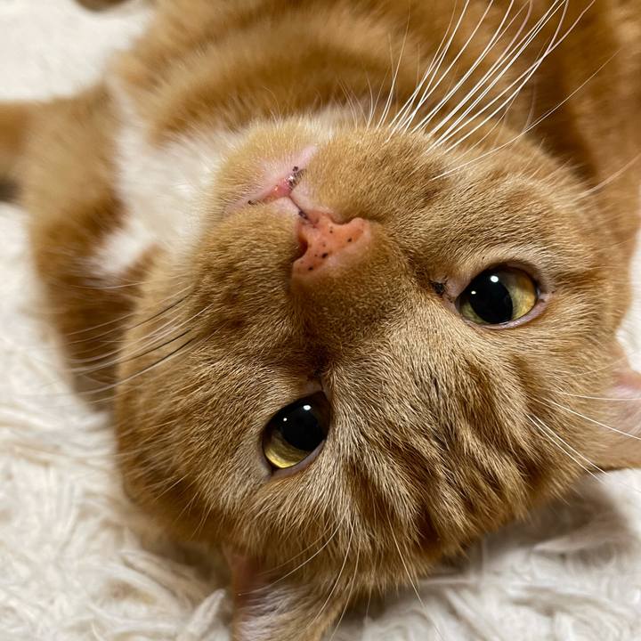 De552ee3 21f2 4119 a8c2 eceb3b0801c8 1645280200435