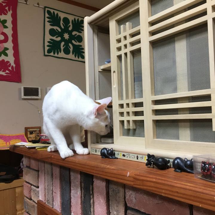 De554418 f7cf 4e8b bca1 d28c866d9f64 1526555174308