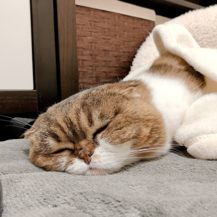 De555c11 033f 4769 969f 923b272b5b78 1554907087624