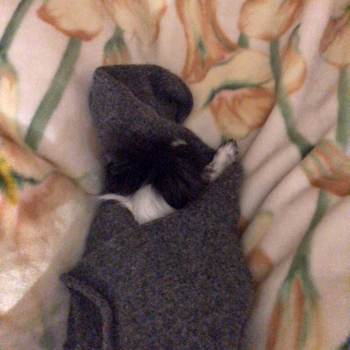 De5576a7 bab5 4613 8995 16824f4b854b 1516980250019