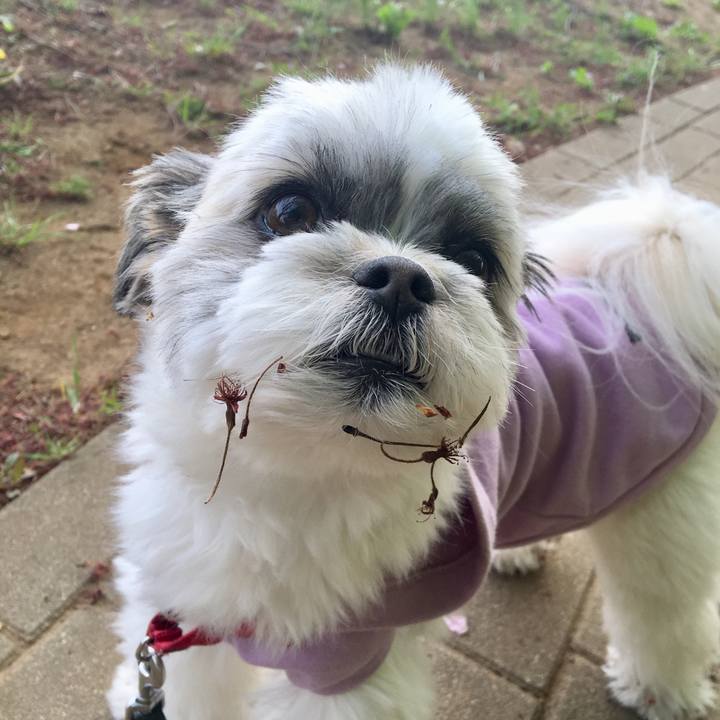 De55ae3c 3b76 4d29 b1e4 69e510ebaa70 1523573137841