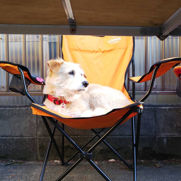 De55beb1 8646 46e2 8867 125ff6352401 1556966632281