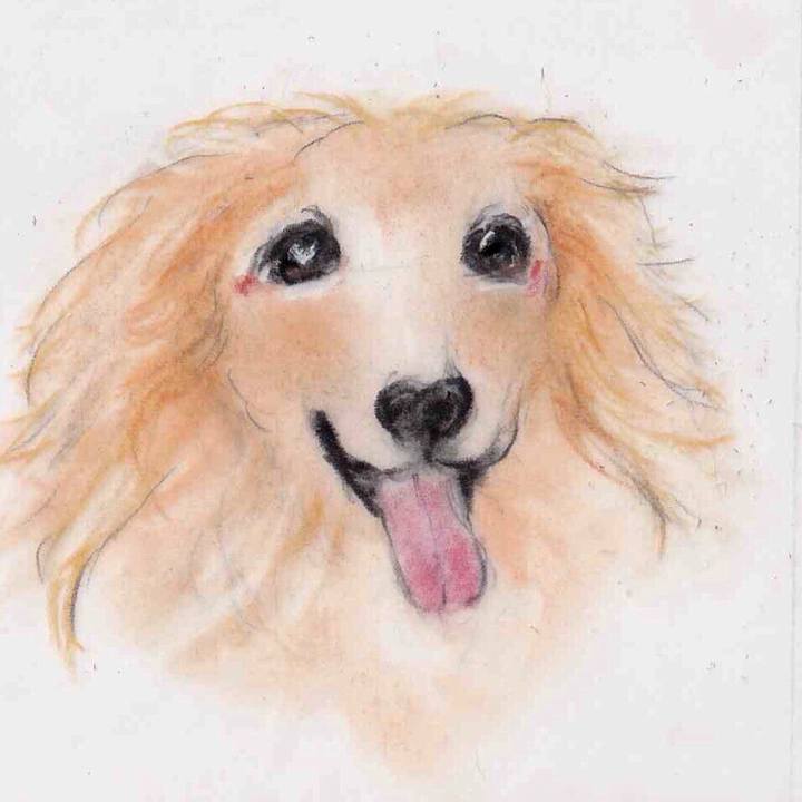 De55bfd2 94ae 48a4 bbaa c229c5519696 1630673352607