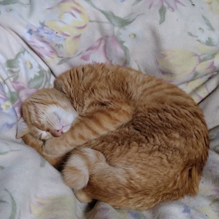 De55cd68 a6d9 42e6 bdc0 b7acad74f38a 1673701455790