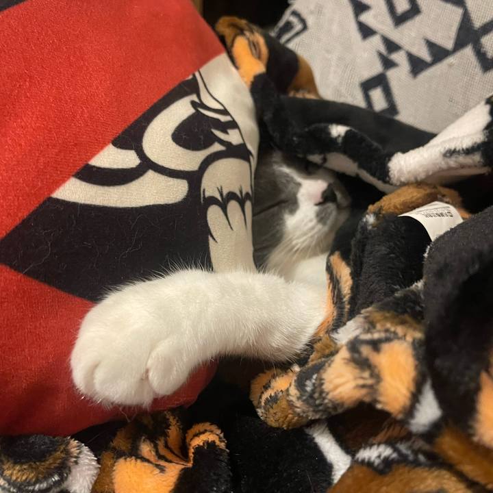 De55d2c3 0ffa 45b6 81ed 2acbcc3ee69e 1702130477625