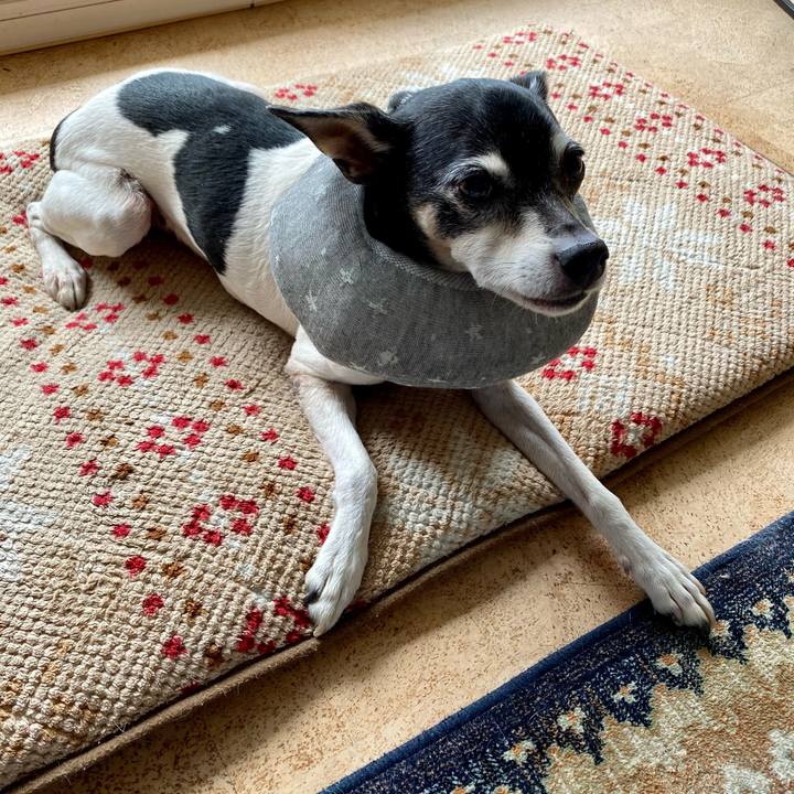 De55dc63 2ecf 41c4 b9c2 59270b251a41 1619318528392