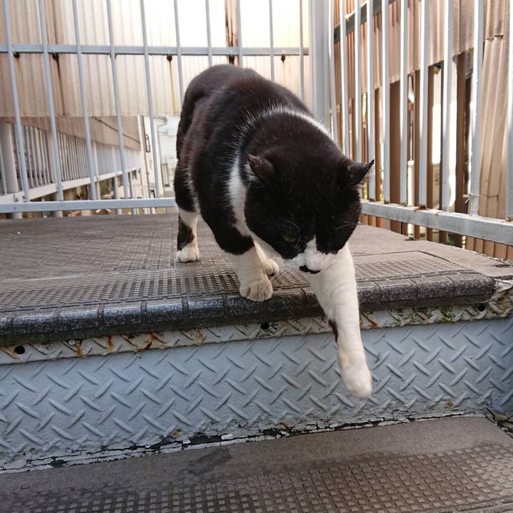 De55e301 f585 4fec 928d 978d1dc7694f 1650688663306