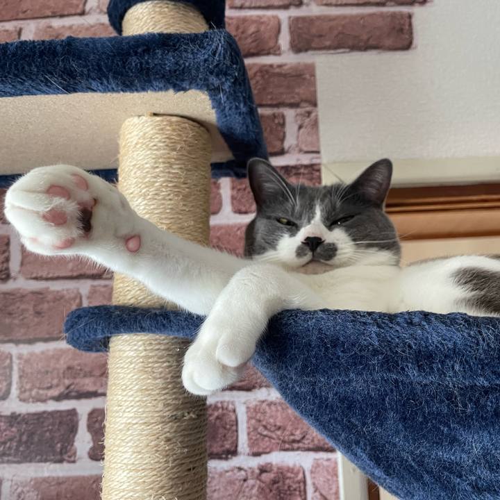 De5622df aa60 4f00 a549 585752cc451a 1658792798855