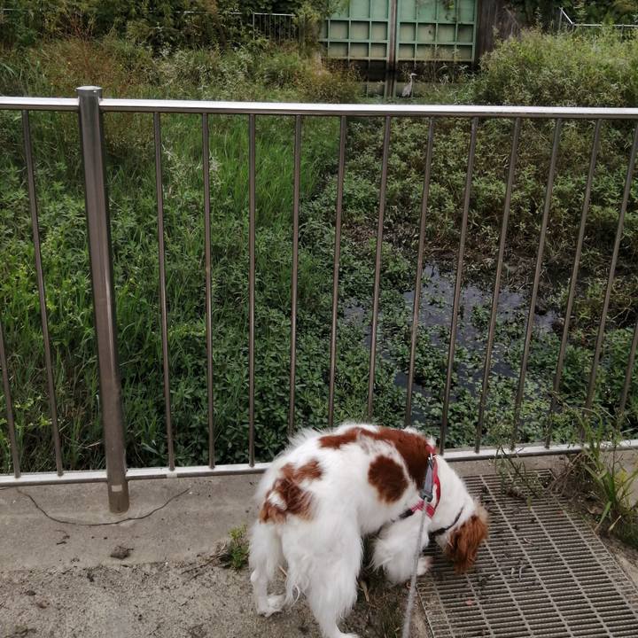 De56272e d015 4f87 8410 fcf3fb28800c 1569755894669