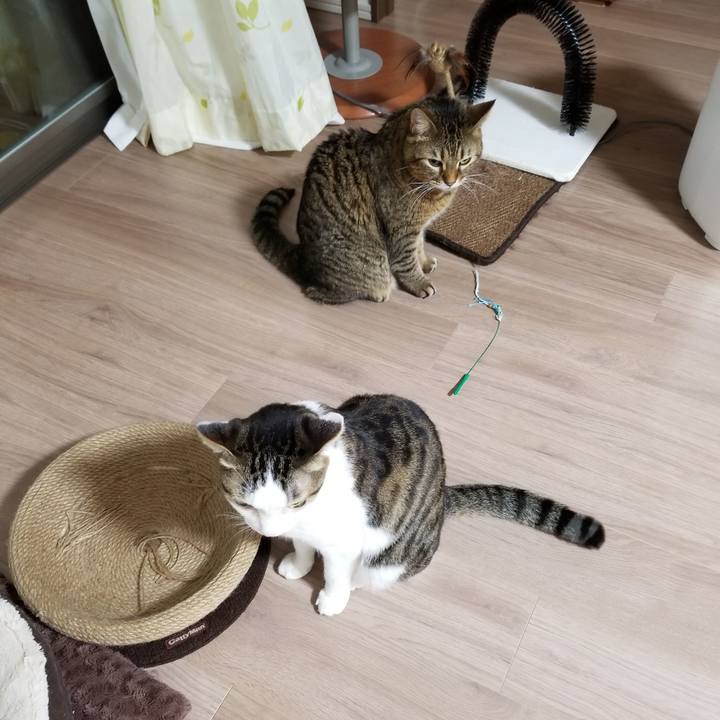 De56337e b651 428b 8dff c20d3ee5acf1 1609965253728