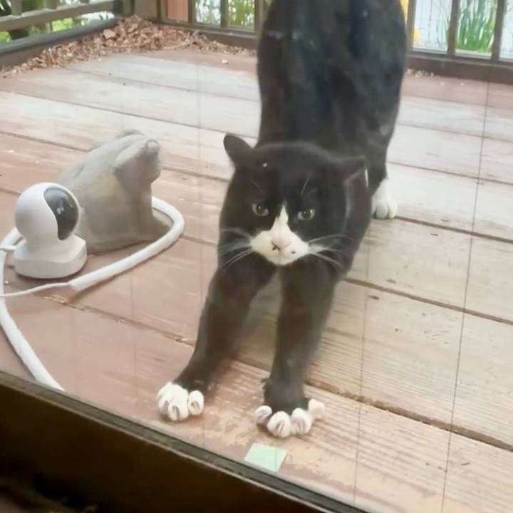 De565798 3dea 4c99 a608 c9d112967146 1774187623196