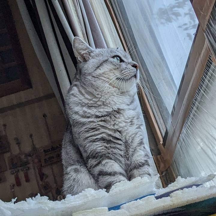 De5667e7 0796 4d54 ae0a 8d810af5d5fd 1697003701307