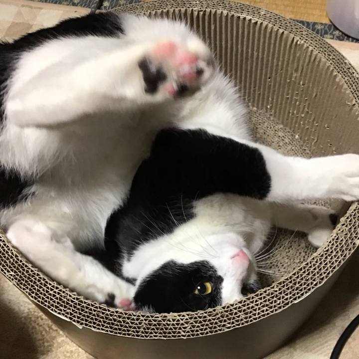 De56cd08 55f2 410a 8e6c e2d5c4e65627 1702291754584