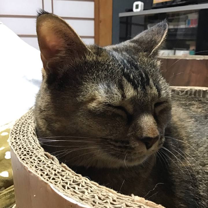 De56ff92 d089 426e 8988 2cd7768ce4a3 1732958174419