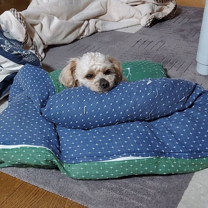 De572340 57bd 4432 a57b 7af150f1ea66 1620711616557