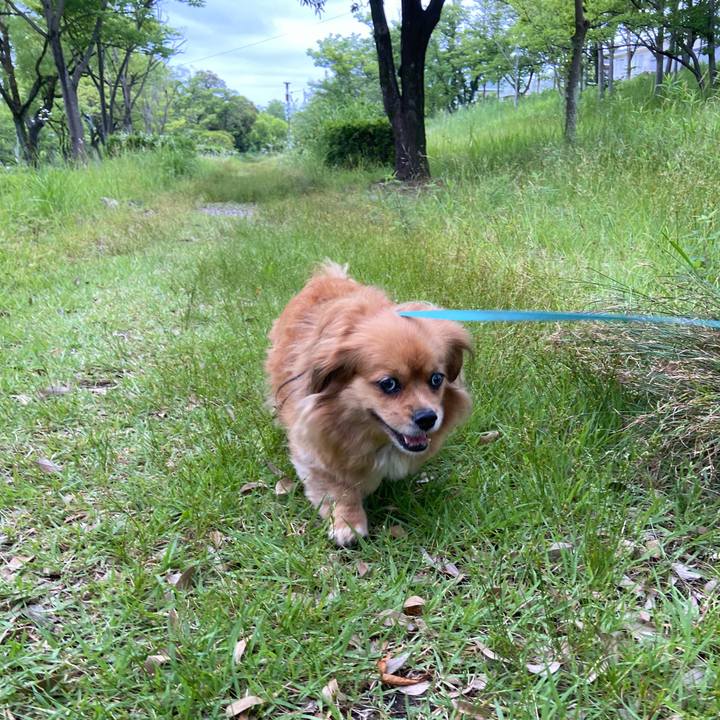 De57258d c66d 4101 98d6 9c58cca65372 1654897083357