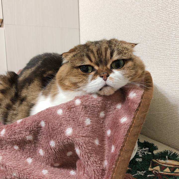 De576da3 80c1 49f3 8a49 fef1c3c866a6 1544109449166