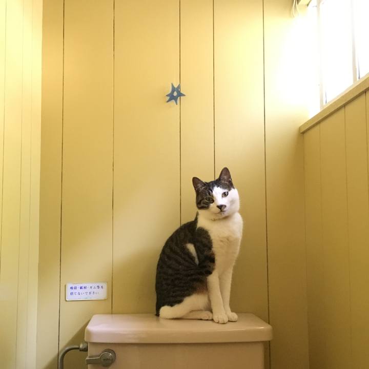 De5784e4 26a3 470d 9910 801740ab5b02 1529672128779