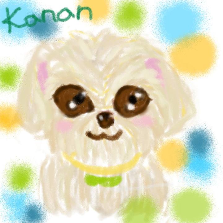 De57ba16 5081 4b78 90db d0fe206417d6 1541238822354