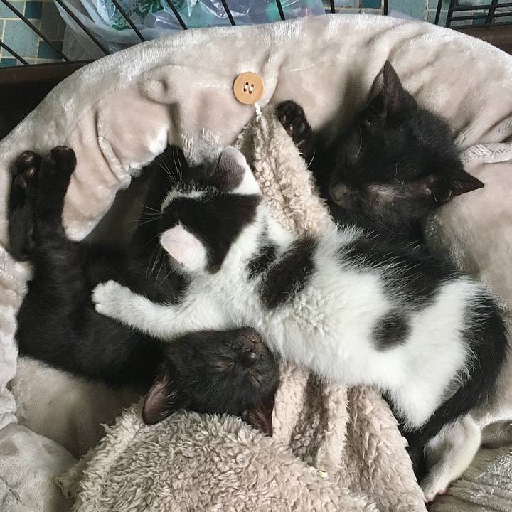 De584c71 8ce2 4bff 90ae 6a858668118c 1624574959923