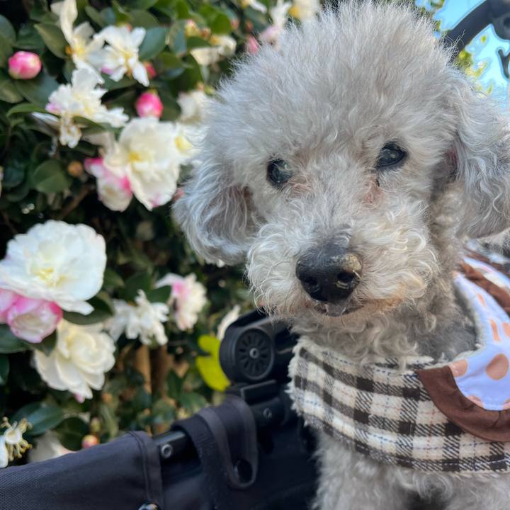 De58600c 6f10 48cd 9429 31277ced115e 1703076626397