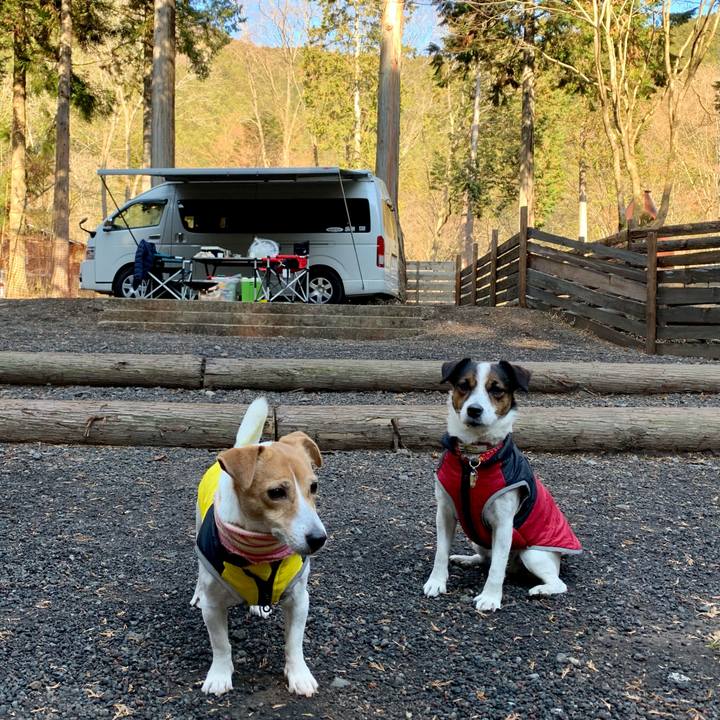 De58633a c00b 4d00 8b99 c893eb021ac3 1609046251318