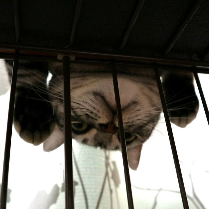 De587221 f59d 4a86 a2a6 89cac0a1b7b9 1595564206001